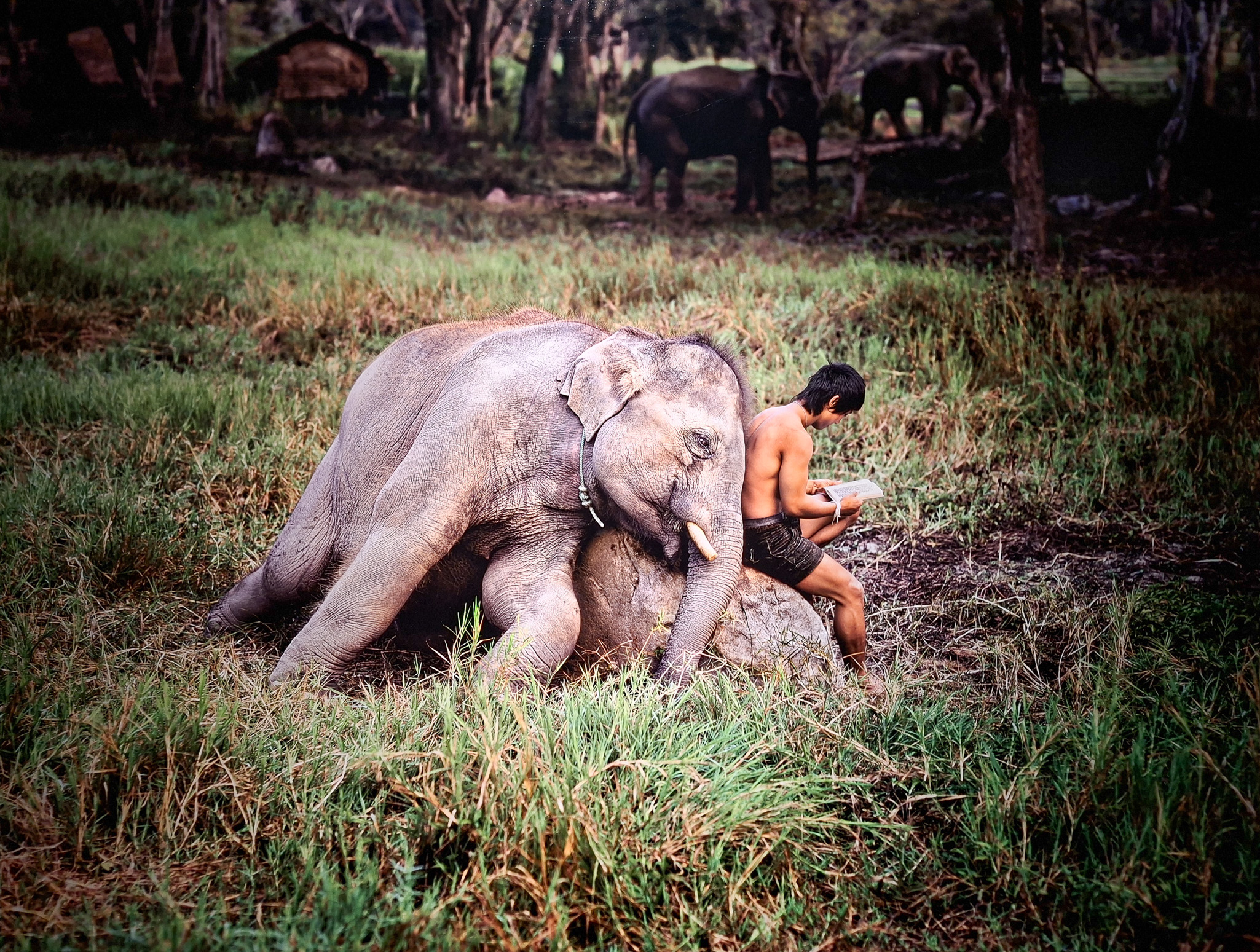 Móvil 20260613 Steve McCurry 118
